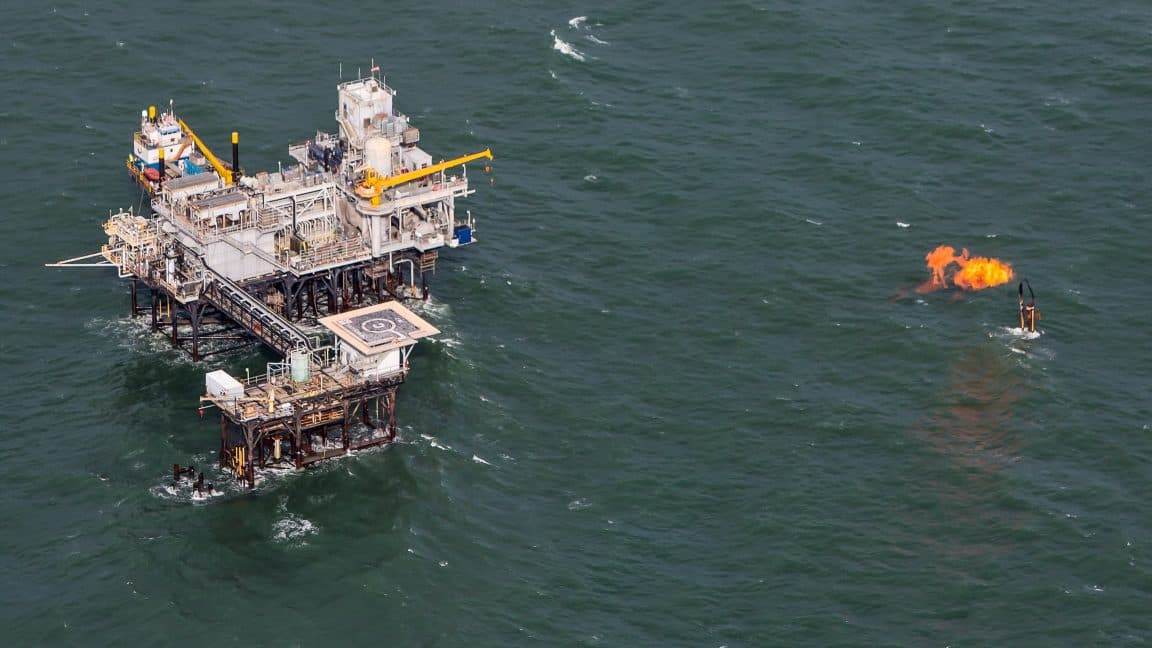 Trump, Tehlikeli Türlerin Korunması Kanunu'nü geçersiz kılmak için harekete geçiyor.